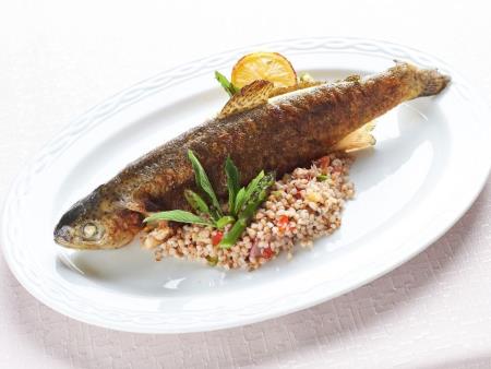 V Termah Snovik se odpirajo zunanji bazeni (8)